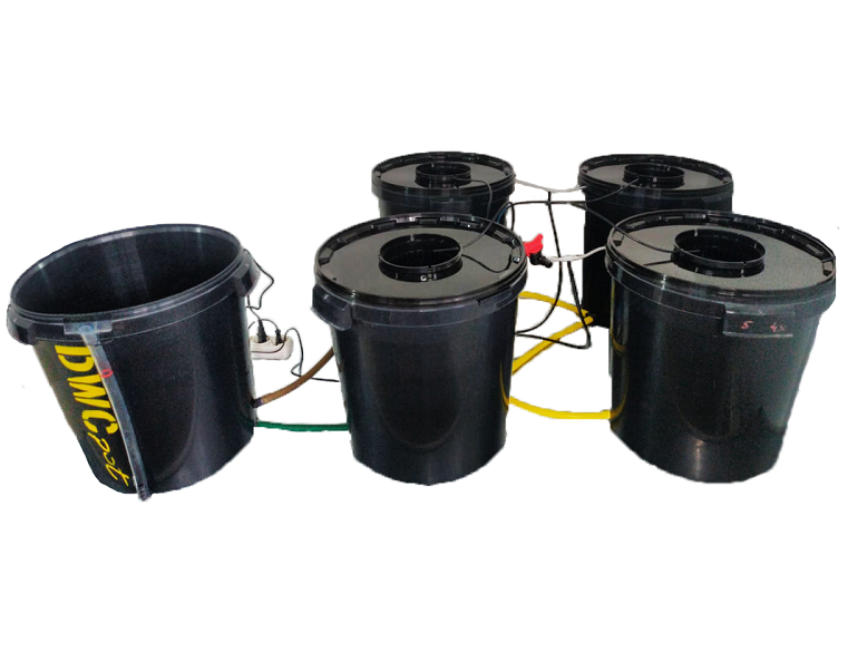 DWC Pot Quatro DWC Pot Quatro система DWC на четыре посадочных места