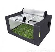 Probox Propagator M гроубокс 80х60х40
