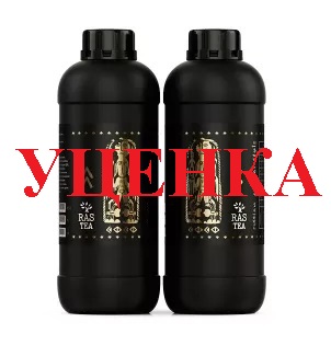 RasTea Coco A+B 1 л (уценка) удобрение для кокосового субстрата 1 л