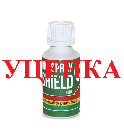 RasTea Bio-Spray Shield 30 мл (уценка) стимулятор иммунитета 30 мл