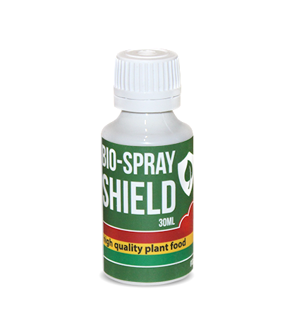 RasTea Bio-Spray Shield 30 мл стимулятор иммунитета 30 мл