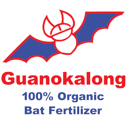 Guanokalong Guanokalong