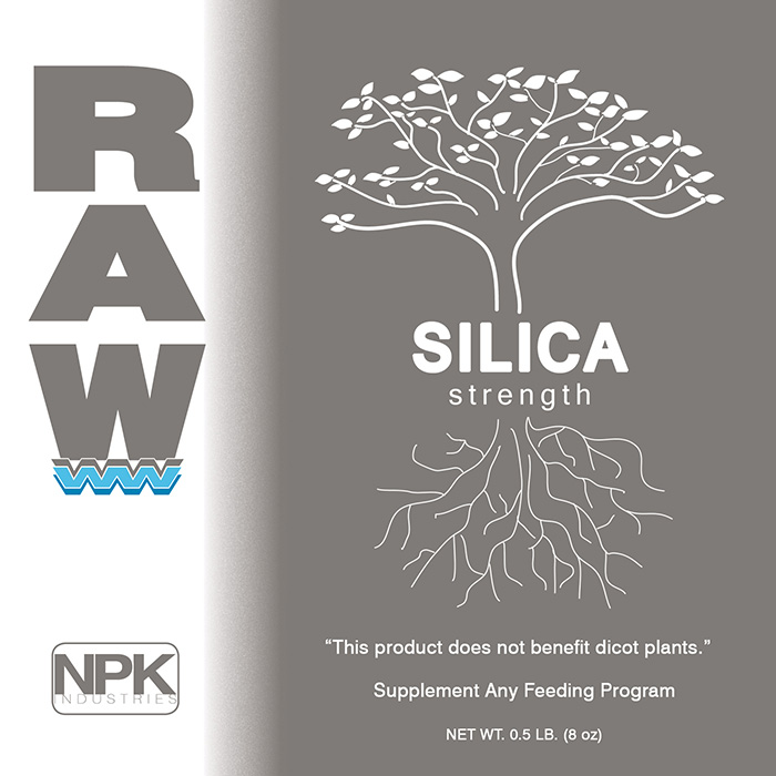 RAW Silica 100 г кремниевая добавка 100 г