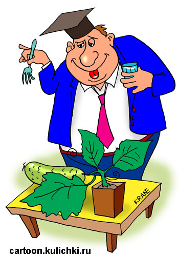 Консультации по подбору схем питания бесплатно в рабочее время